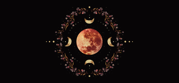 Fall 2023 Eclipse Season: The Logistics of Love