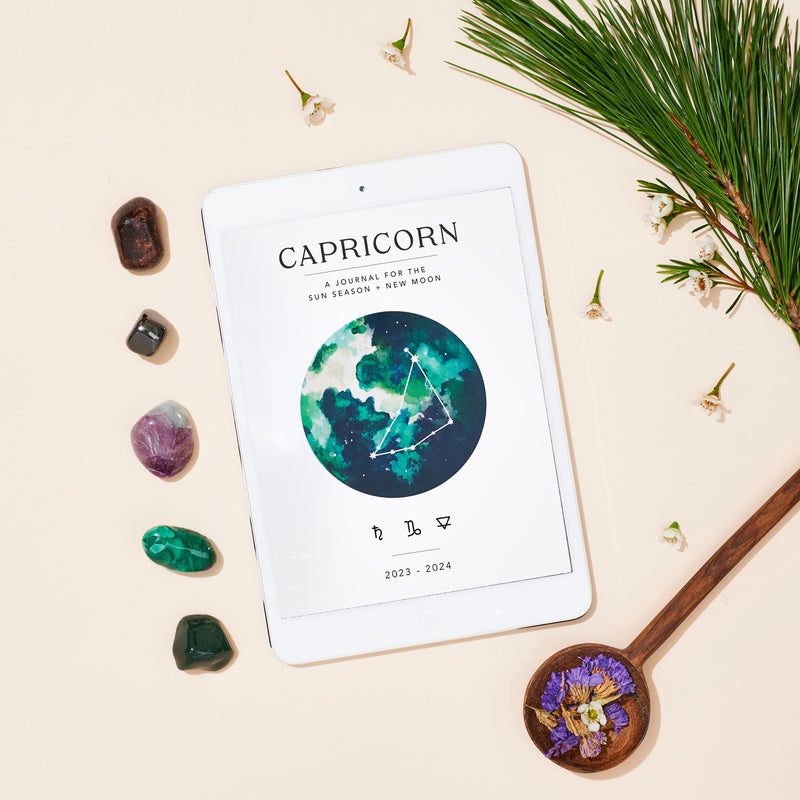 Capricorn Season + New Moon Workbook (Digital)