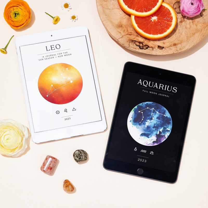 Leo Season + Aquarius Full Moon Workbook Bundle (Digital)
