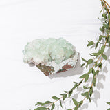 Apophyllite Perception